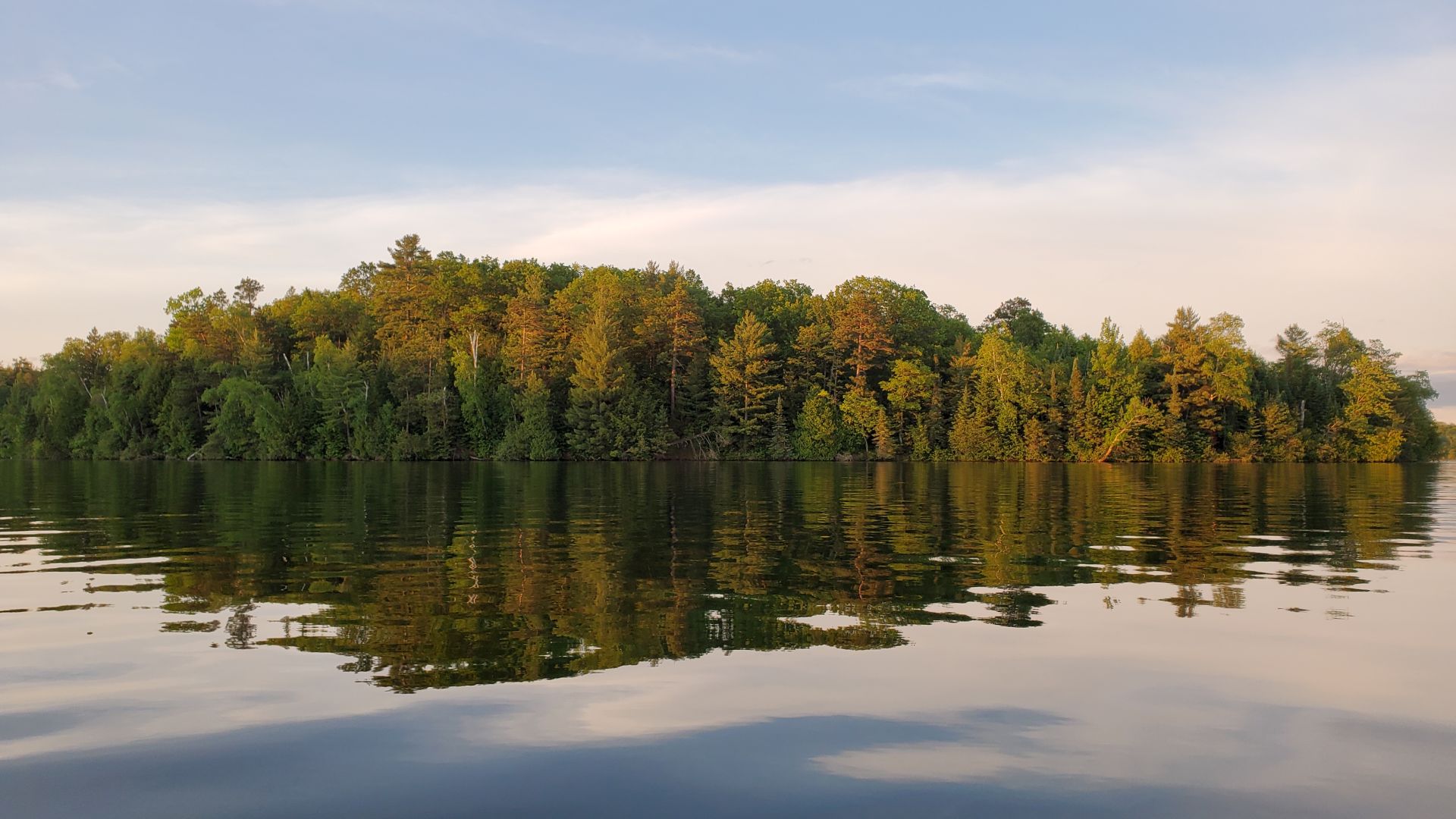 Cool reflection of trees on a lake